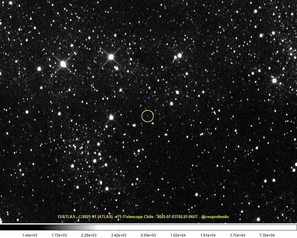 O cometa C/2025 N1 (ATLAS), ou I3/ATLAS, aparece circulado em meio a incontáveis estrelas.